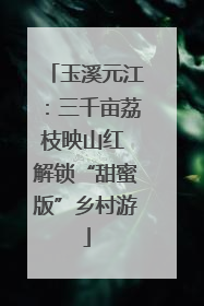 玉溪元江：三千亩荔枝映山红 解锁“甜蜜版”乡村游