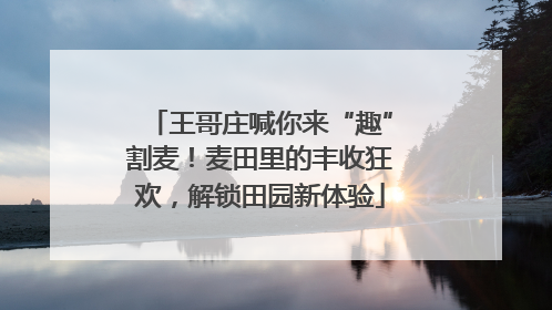 王哥庄喊你来“趣”割麦！麦田里的丰收狂欢，解锁田园新体验