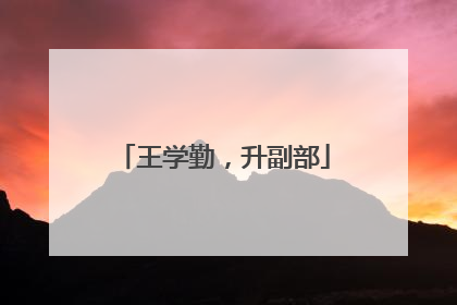 王学勤，升副部