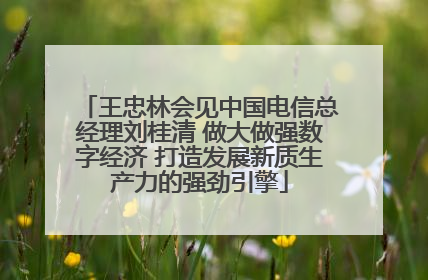 王忠林会见中国电信总经理刘桂清 做大做强数字经济 打造发展新质生产力的强劲引擎