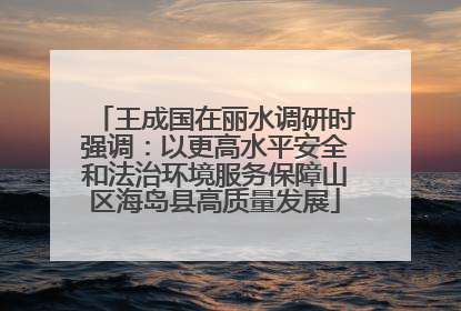 王成国在丽水调研时强调：以更高水平安全和法治环境服务保障山区海岛县高质量发展
