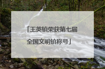 王英镇荣获第七届全国文明镇称号