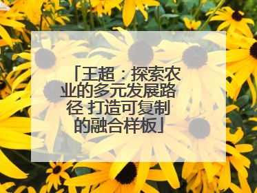 王超：探索农业的多元发展路径 打造可复制的融合样板