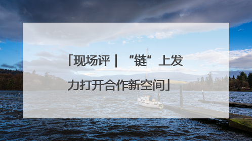 现场评｜“链”上发力打开合作新空间