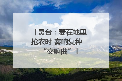 灵台：麦茬地里抢农时 奏响复种“交响曲”