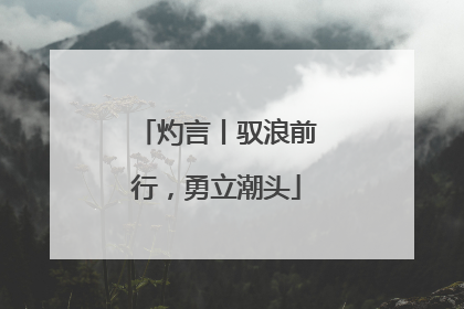灼言丨驭浪前行，勇立潮头
