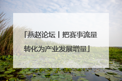 燕赵论坛丨把赛事流量转化为产业发展增量