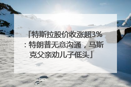 特斯拉股价收涨超3%：特朗普无意沟通，马斯克父亲劝儿子低头