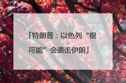 特朗普：以色列“很可能”会袭击伊朗