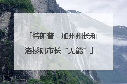 特朗普：加州州长和洛杉矶市长“无能”