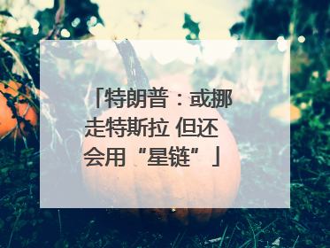 特朗普：或挪走特斯拉 但还会用“星链”