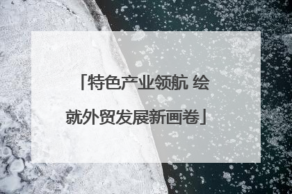 特色产业领航 绘就外贸发展新画卷