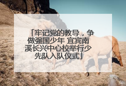 牢记党的教导，争做强国少年 宜宾南溪长兴中心校举行少先队入队仪式