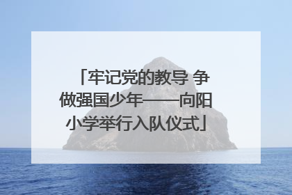 牢记党的教导 争做强国少年——向阳小学举行入队仪式