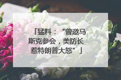 猛料：“曾邀马斯克参会，美防长惹特朗普大怒”