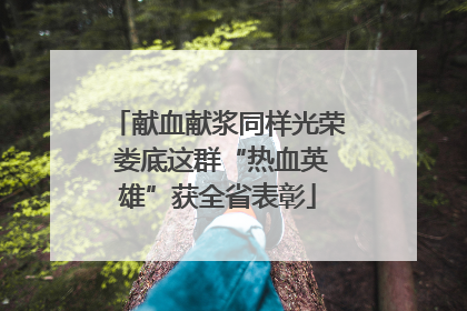 献血献浆同样光荣 娄底这群“热血英雄”获全省表彰