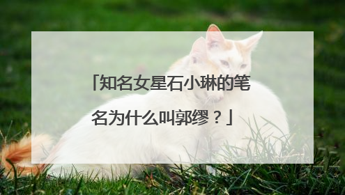 知名女星石小琳的笔名为什么叫郭缪？