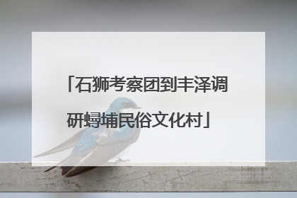 石狮考察团到丰泽调研蟳埔民俗文化村