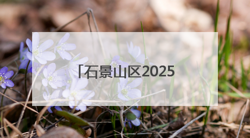 石景山区2025年全国科技工作者日主场活动启幕