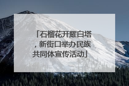 石榴花开耀白塔，新街口举办民族共同体宣传活动