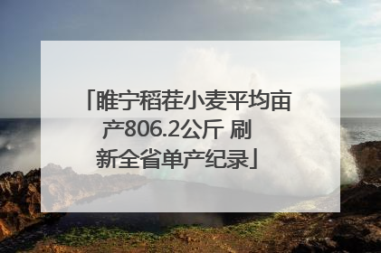 睢宁稻茬小麦平均亩产806.2公斤 刷新全省单产纪录
