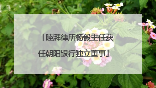睦湃律所杨毅主任获任朝阳银行独立董事