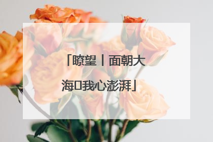 瞭望丨面朝大海 我心澎湃