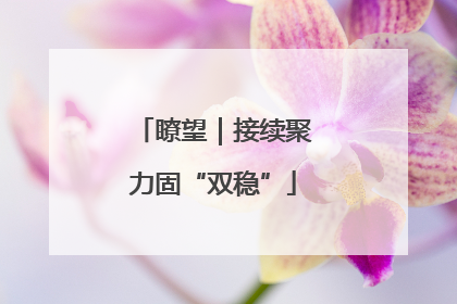瞭望｜接续聚力固“双稳”