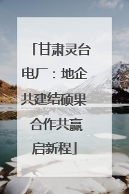 甘肃灵台电厂：地企共建结硕果 合作共赢启新程