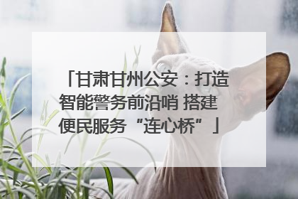 甘肃甘州公安：打造智能警务前沿哨 搭建便民服务“连心桥”