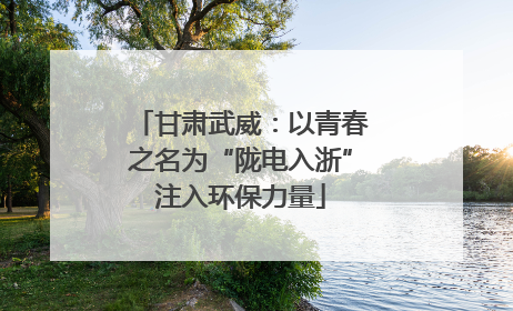 甘肃武威：以青春之名为“陇电入浙”注入环保力量