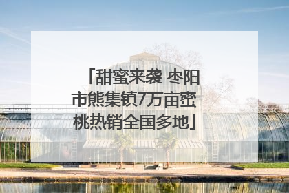 甜蜜来袭 枣阳市熊集镇7万亩蜜桃热销全国多地