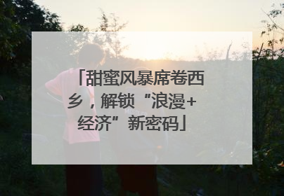 甜蜜风暴席卷西乡，解锁“浪漫+经济”新密码