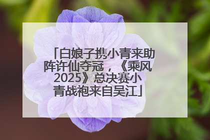 白娘子携小青来助阵许仙夺冠，《乘风2025》总决赛小青战袍来自吴江