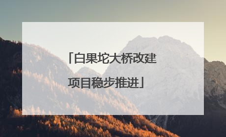 白果坨大桥改建项目稳步推进