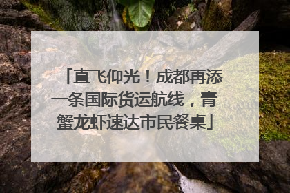 直飞仰光！成都再添一条国际货运航线，青蟹龙虾速达市民餐桌