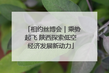 相约丝博会｜乘势起飞 陕西探索低空经济发展新动力