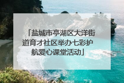 盐城市亭湖区大洋街道育才社区举办七彩护航爱心课堂活动