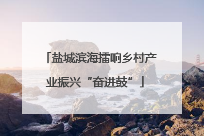 盐城滨海擂响乡村产业振兴“奋进鼓”