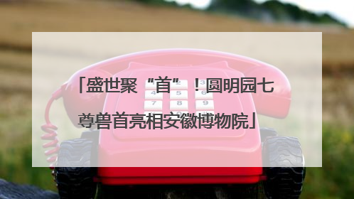 盛世聚“首”！圆明园七尊兽首亮相安徽博物院