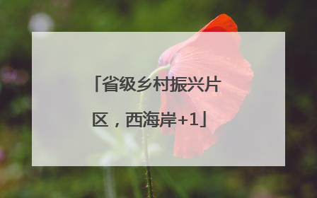 省级乡村振兴片区，西海岸+1