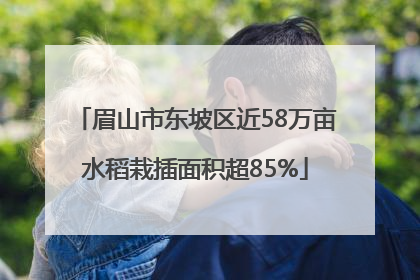 眉山市东坡区近58万亩水稻栽插面积超85%