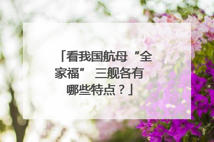 看我国航母“全家福” 三舰各有哪些特点？
