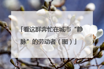 看这群奔忙在城市“静脉”的劳动者（图）