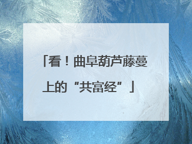 看！曲阜葫芦藤蔓上的“共富经”