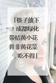 筷子放下！成都绿化带桔黄小花并非黄花菜，吃不得