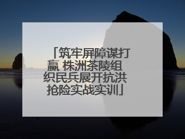 筑牢屏障谋打赢 株洲茶陵组织民兵展开抗洪抢险实战实训
