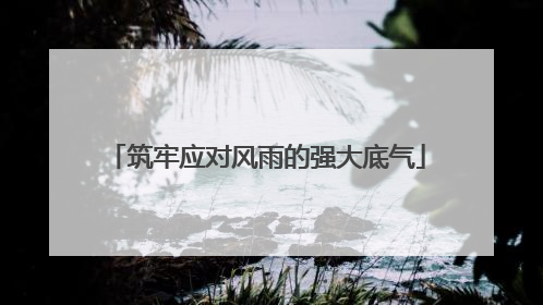 筑牢应对风雨的强大底气