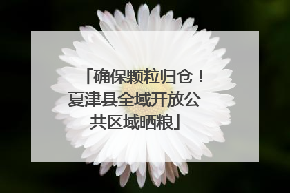 确保颗粒归仓！夏津县全域开放公共区域晒粮