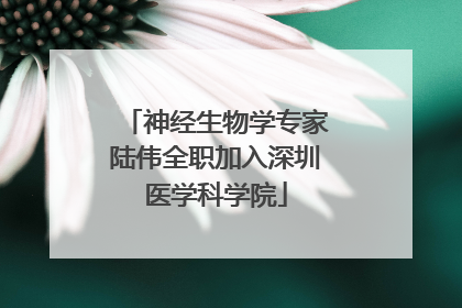 神经生物学专家陆伟全职加入深圳医学科学院